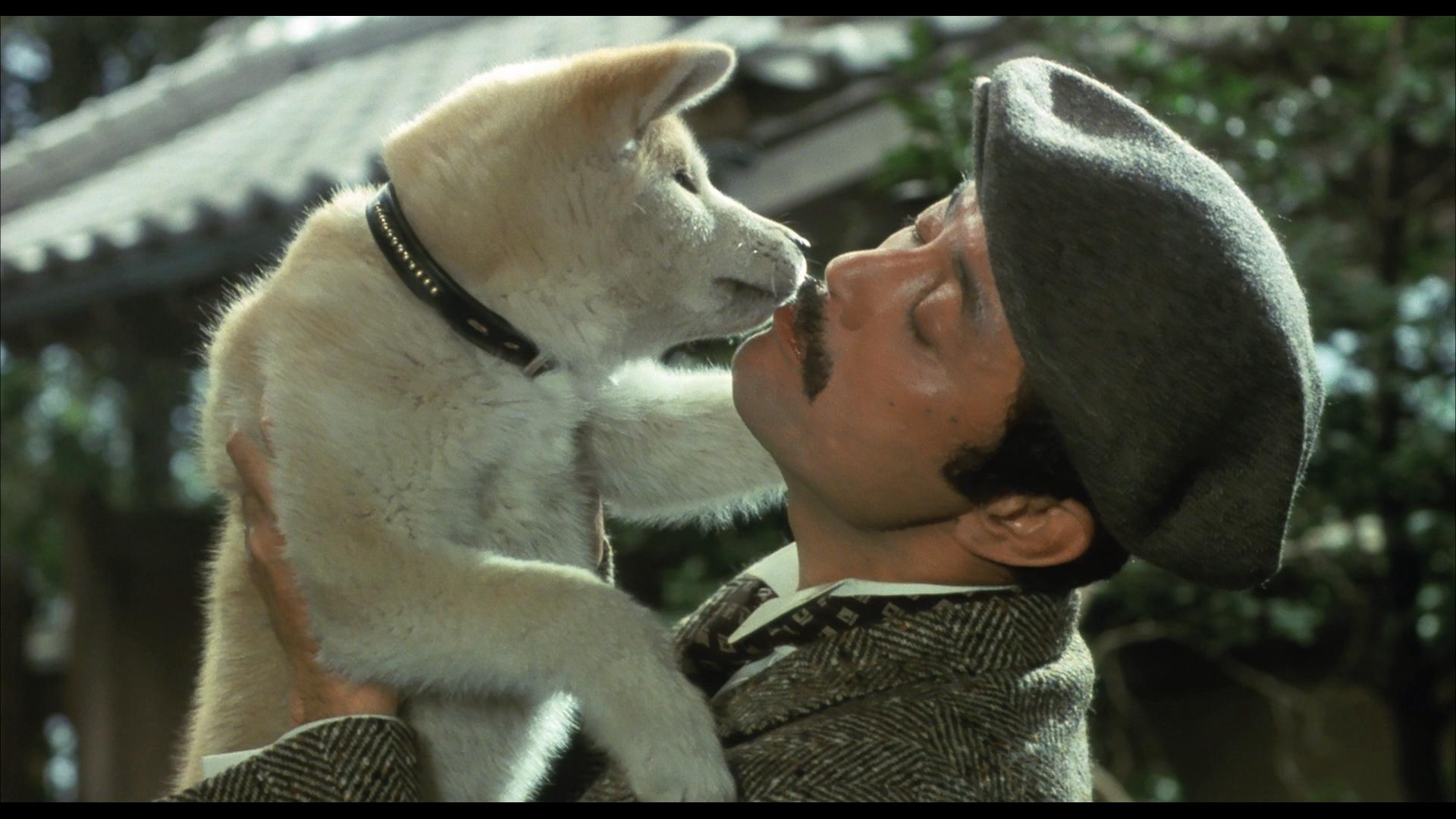 Xem Phim Câu Chuyện Về Chú Chó Hachiko, Hachi-ko 1987 Xem Phim Câu Chuyện Về Chú Chó Hachiko, Hachi-ko 1987