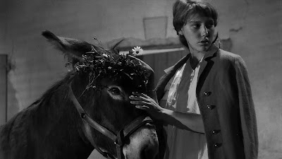 Xem Phim Chú Lừa Balthazar, Au hasard Balthazar 1966 Xem Phim Chú Lừa Balthazar, Au hasard Balthazar 1966