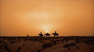 Xem Phim Cuộc Truy Lùng, The Searchers 1956 Xem Phim Cuộc Truy Lùng, The Searchers 1956
