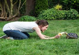 Laggies / Laggies (2014)