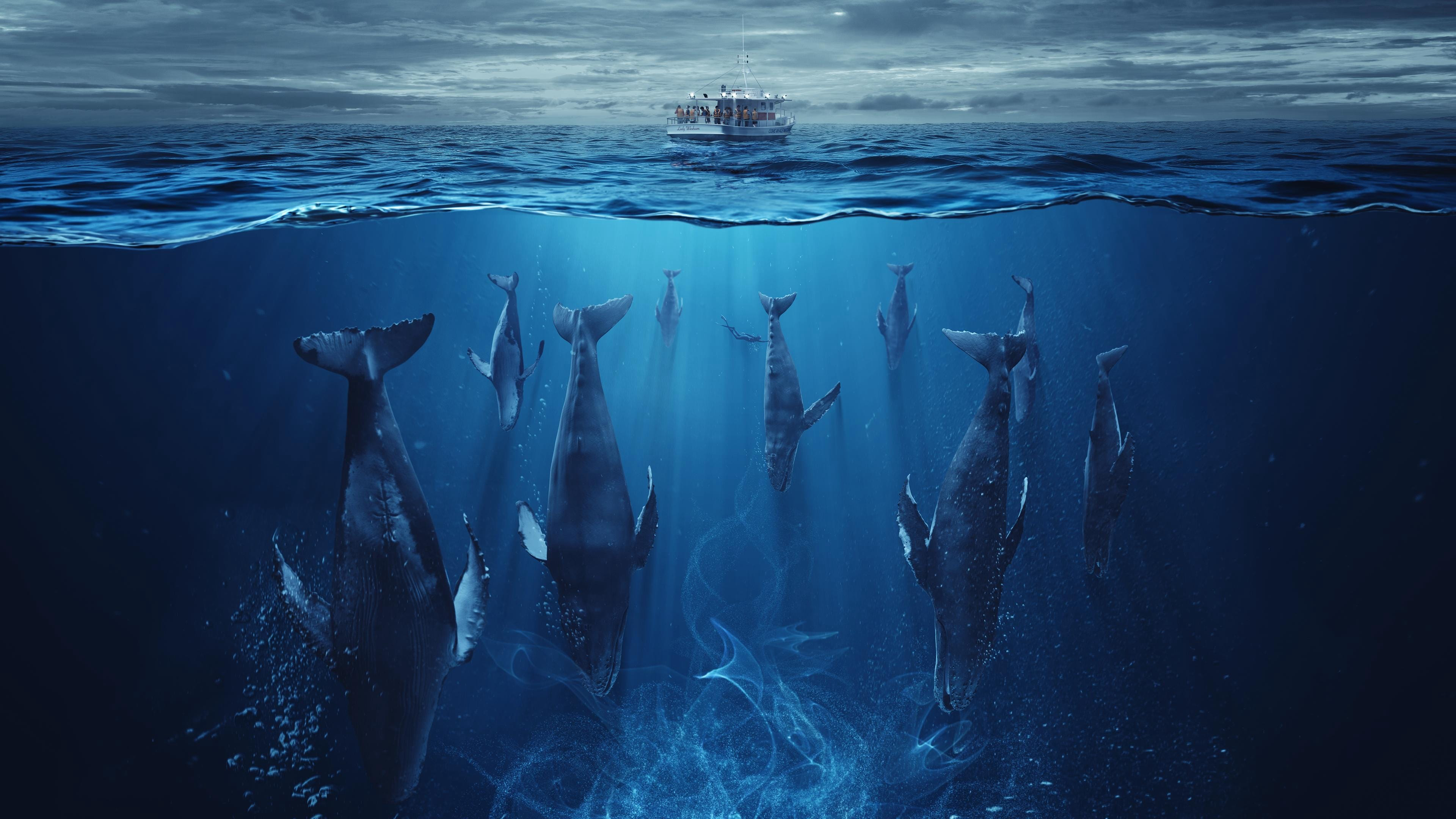 Xem Phim Đại Dương Thức Tỉnh, The Swarm 2023 Xem Phim Đại Dương Thức Tỉnh, The Swarm 2023