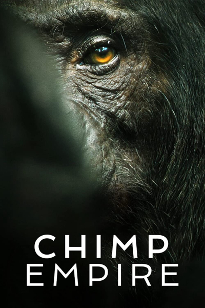 Chimp Empire / Chimp Empire (2023)