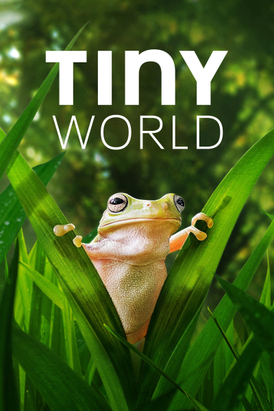 Tiny World (Season 2) / Tiny World (Season 2) (2021)