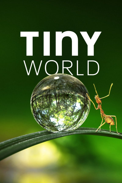 Thế Giới Siêu Nhỏ (Phần 1), Tiny World (Season 1) / Tiny World (Season 1) (2020)