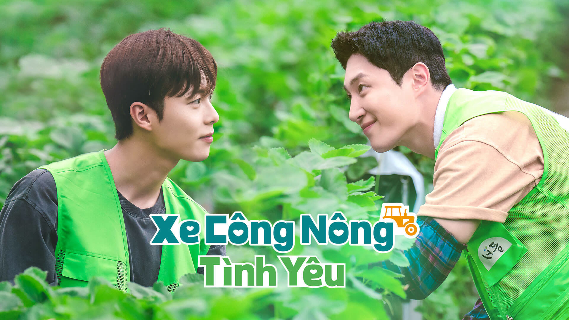 Xem Phim Xe Công Nông Tình Yêu, Love Tractor 2023 Xem Phim Xe Công Nông Tình Yêu, Love Tractor 2023