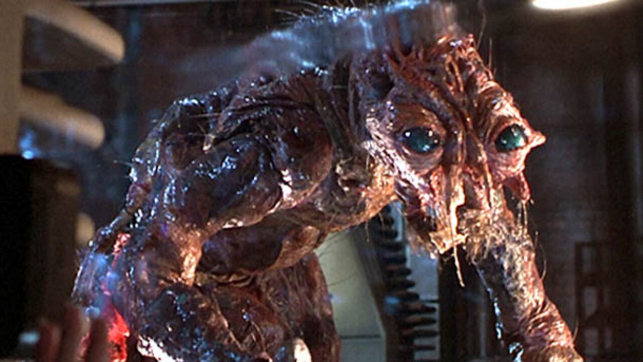 Xem Phim Con Ruồi, The Fly 1986 Xem Phim Con Ruồi, The Fly 1986