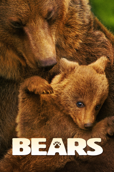 Bears, Bears / Bears (2014)