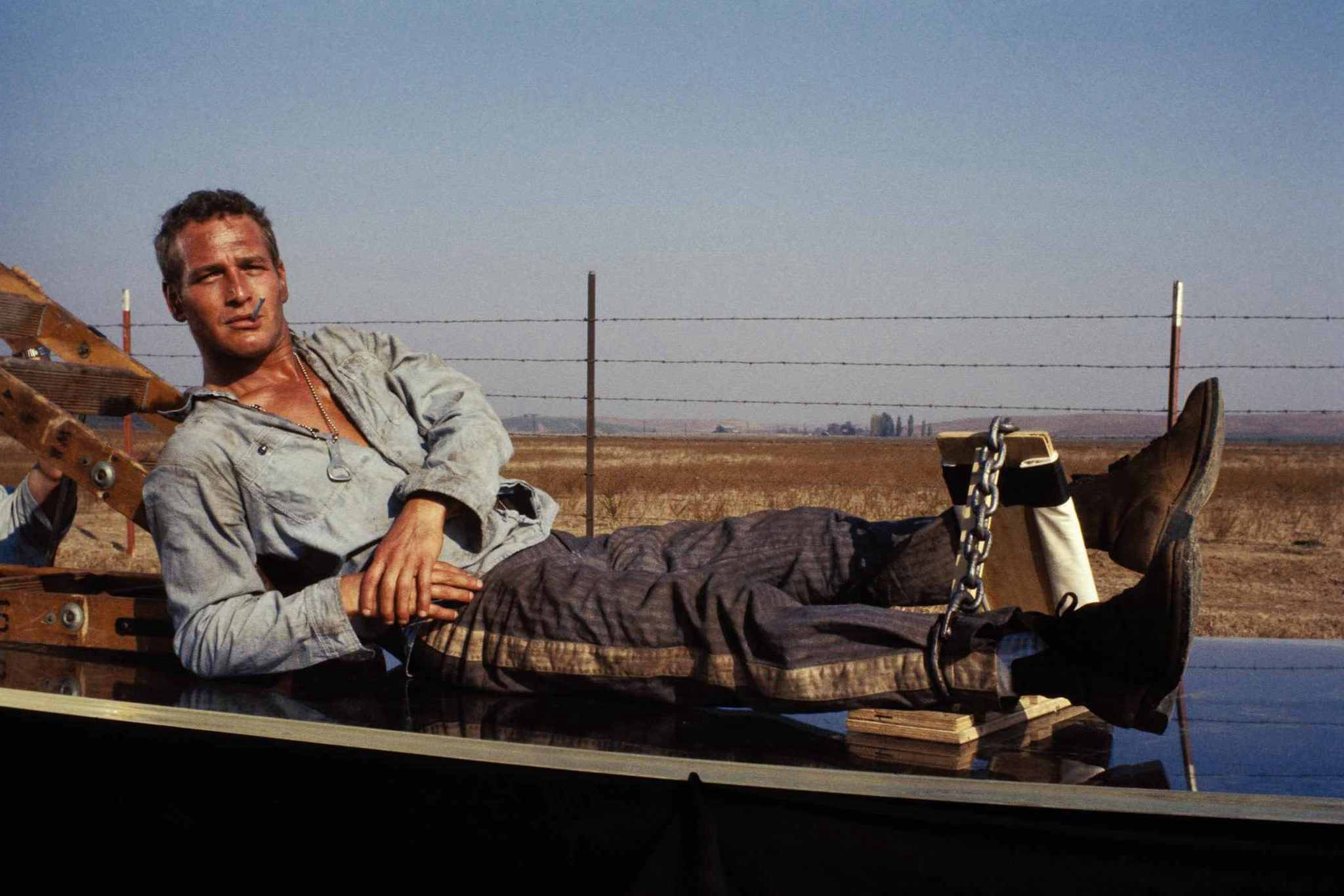 Xem Phim Kẻ Trơ Tráo, Cool Hand Luke 1967 Xem Phim Kẻ Trơ Tráo, Cool Hand Luke 1967
