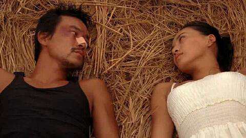 Xem Phim Lửa Đại Dương, Ocean Flame 2008 Xem Phim Lửa Đại Dương, Ocean Flame 2008