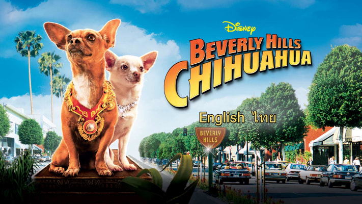 Xem Phim Những Chú Chó Chihuahua, Beverly Hills Chihuahua 2008