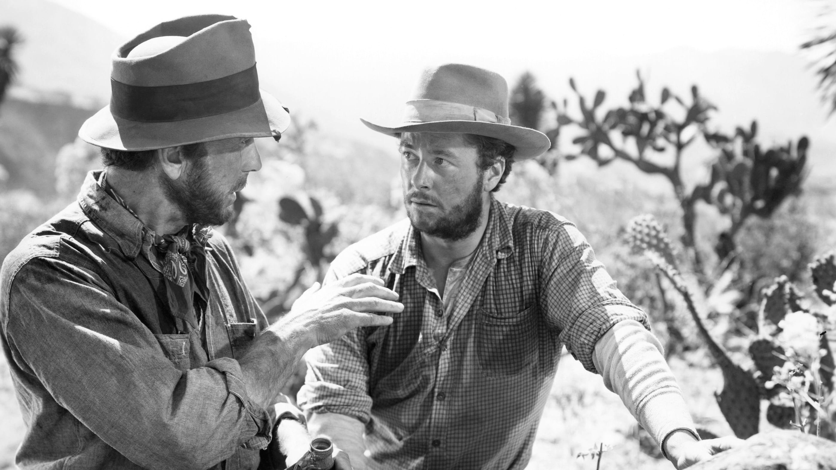 The Treasure of the Sierra Madre / The Treasure of the Sierra Madre (1948)
