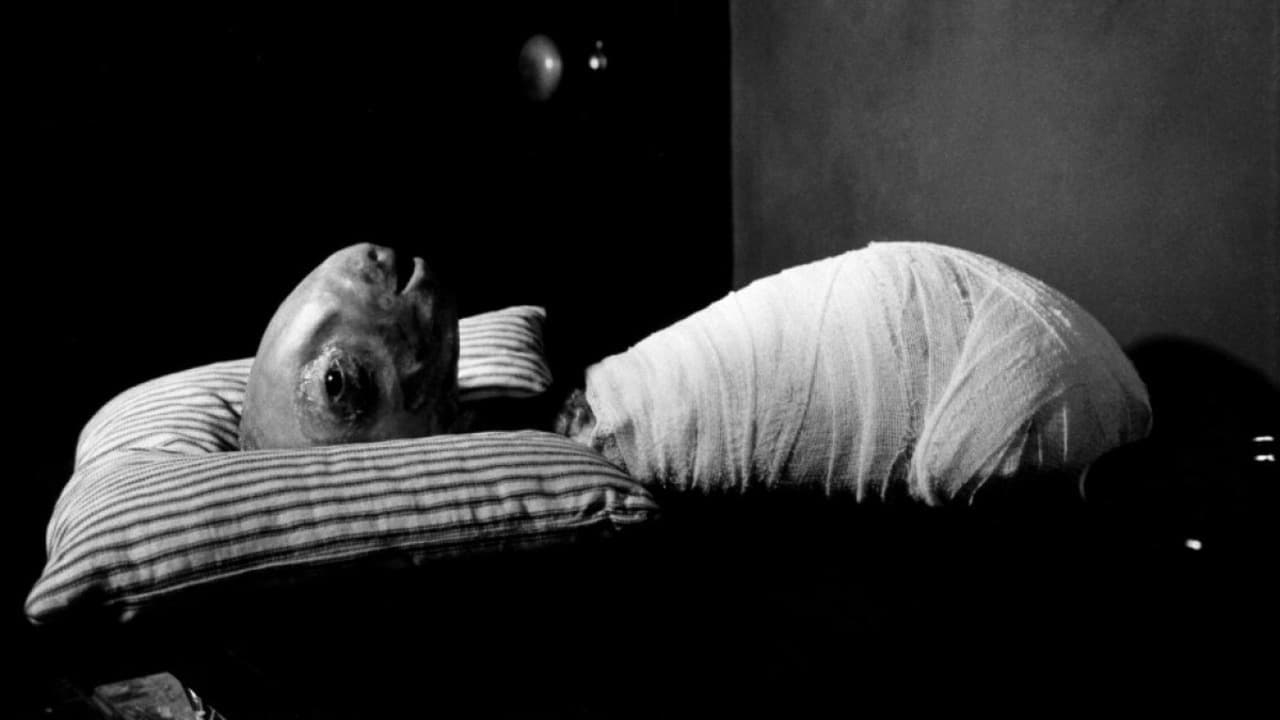 Xem Phim Tẩy Não, Eraserhead 1977 Xem Phim Tẩy Não, Eraserhead 1977