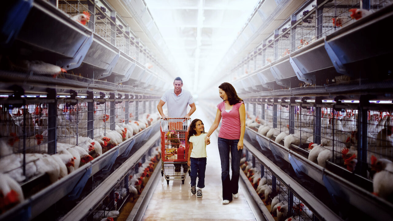 Xem Phim Đầu độc: Sự thật bẩn thỉu về thực phẩm, Poisoned: The Dirty Truth About Your Food 2023 Xem Phim Đầu độc: Sự thật bẩn thỉu về thực phẩm, Poisoned: The Dirty Truth About Your Food 2023