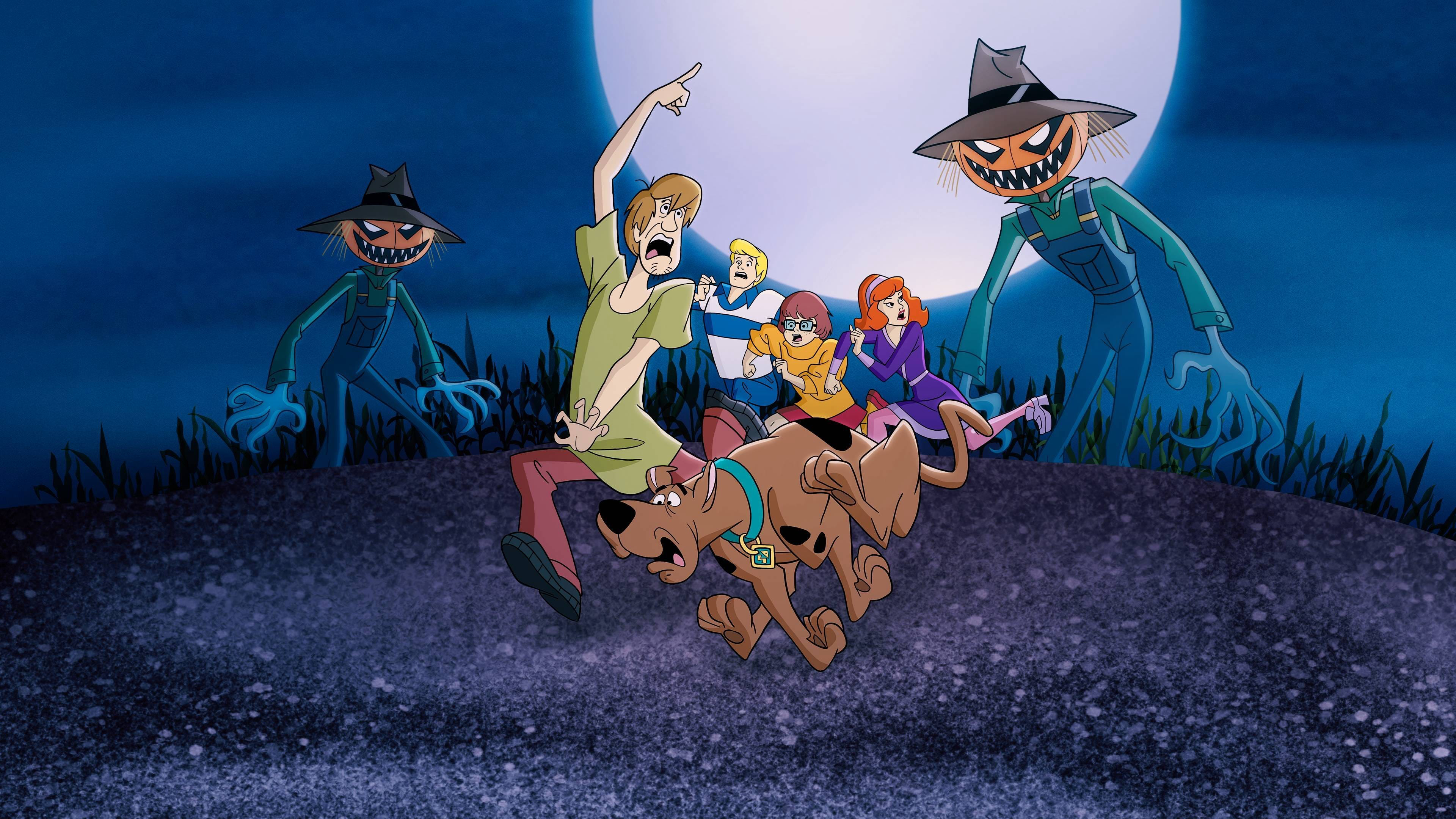 Xem Phim What's New, Scooby-Doo? (Phần 3), What's New, Scooby-Doo? (Season 3) 2005 Xem Phim What's New, Scooby-Doo? (Phần 3), What's New, Scooby-Doo? (Season 3) 2005