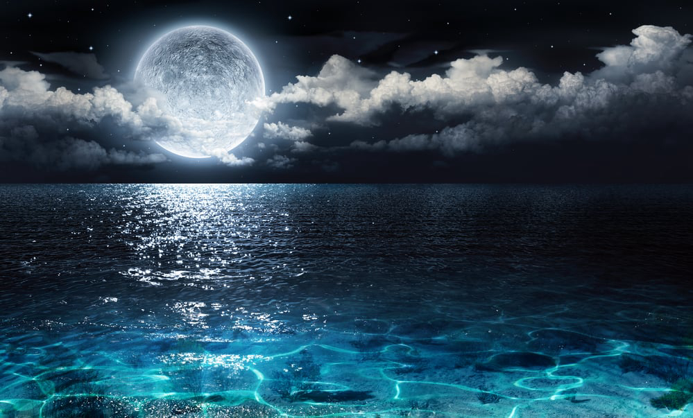 Xem Phim Ánh Trăng, Moonlight 2016 Xem Phim Ánh Trăng, Moonlight 2016