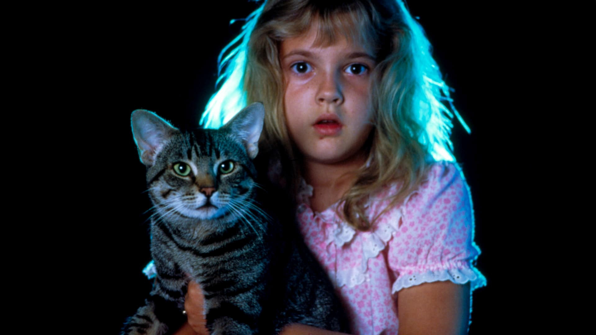 Xem Phim Mắt mèo, Cat's Eye 1985