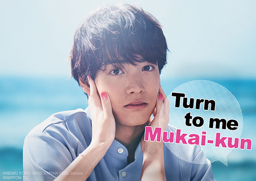 Xem Phim Mukai ơi, nhìn em này, Turn to me Mukai-kun 2023 Xem Phim Mukai ơi, nhìn em này, Turn to me Mukai-kun 2023