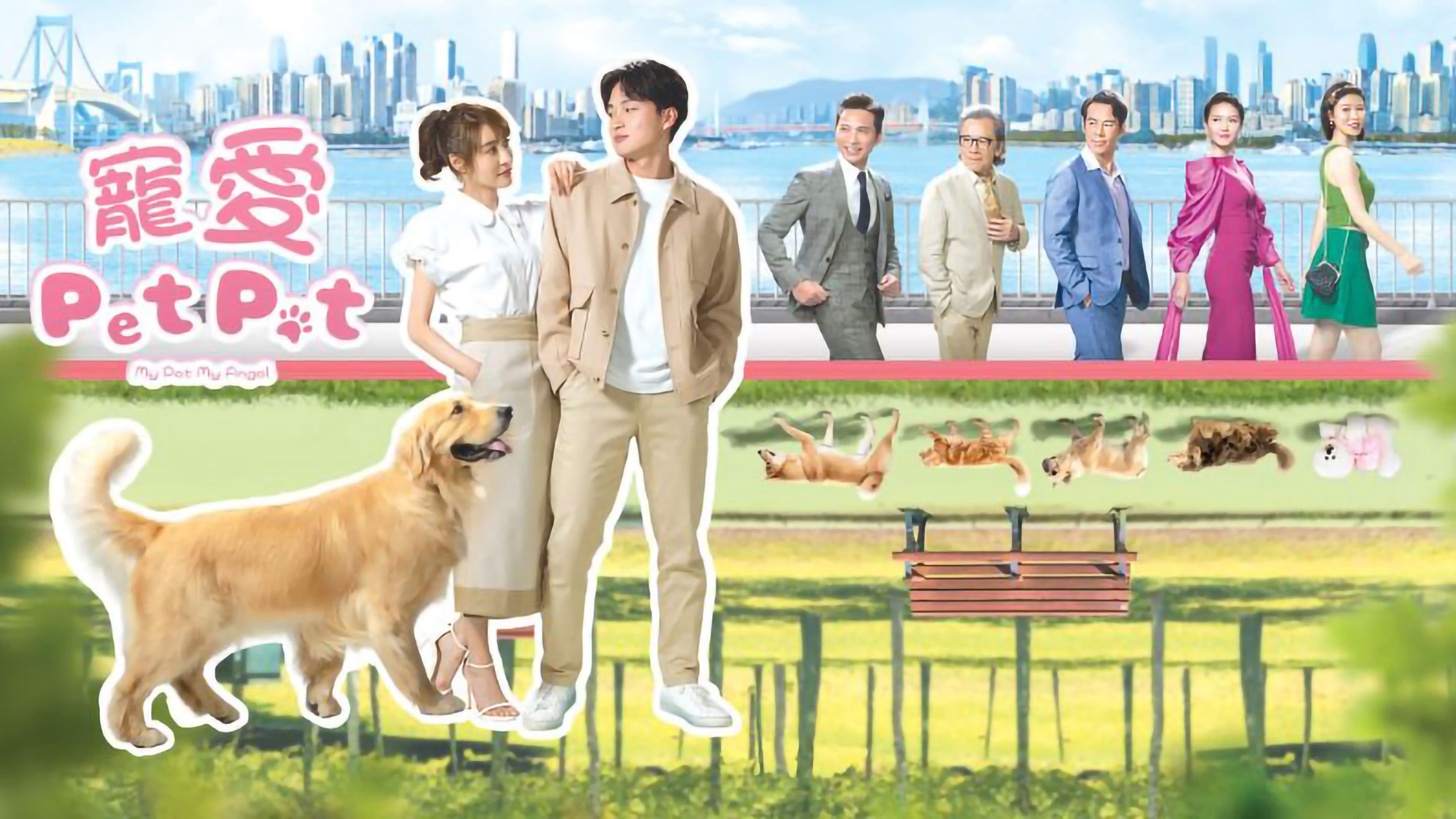 Xem Phim Chó Cưng Của Tôi, My Pet My Angel 2023 Xem Phim Chó Cưng Của Tôi, My Pet My Angel 2023