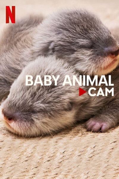 Động vật bé cưng trên camera, Baby Animal Cam / Baby Animal Cam (2023)