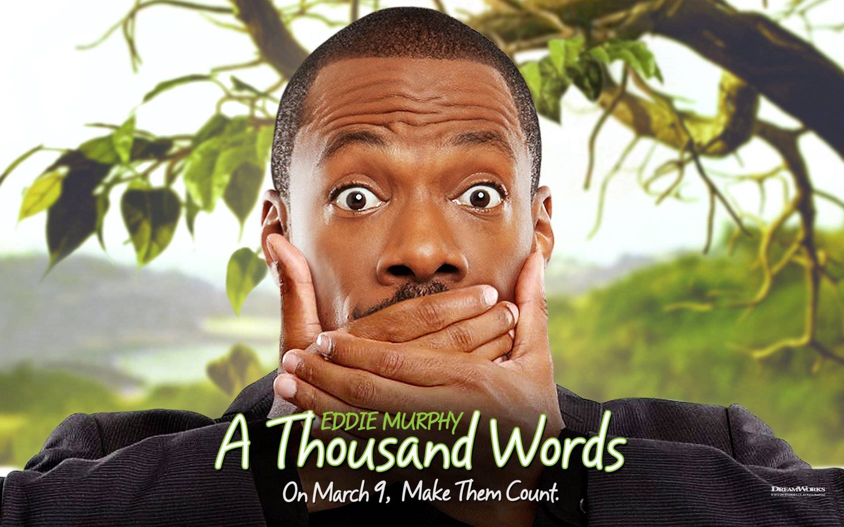 A Thousand Words / A Thousand Words (2012)
