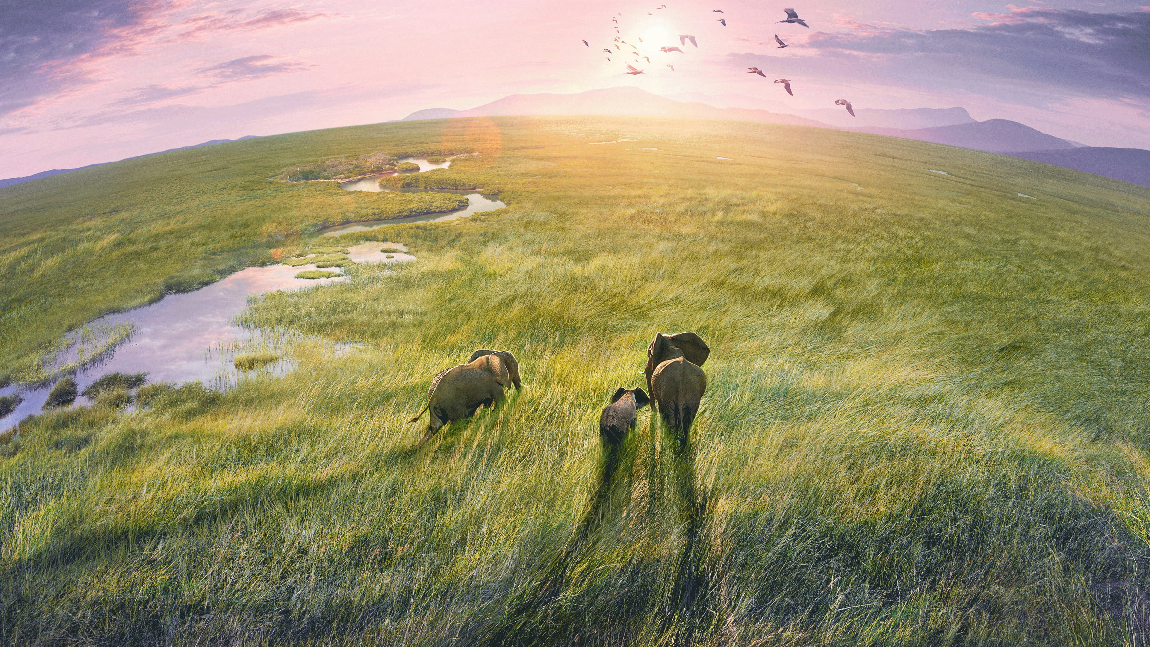 Xem Phim Hành Tinh Trái Đất 3, Planet Earth III 2023 Xem Phim Hành Tinh Trái Đất 3, Planet Earth III 2023