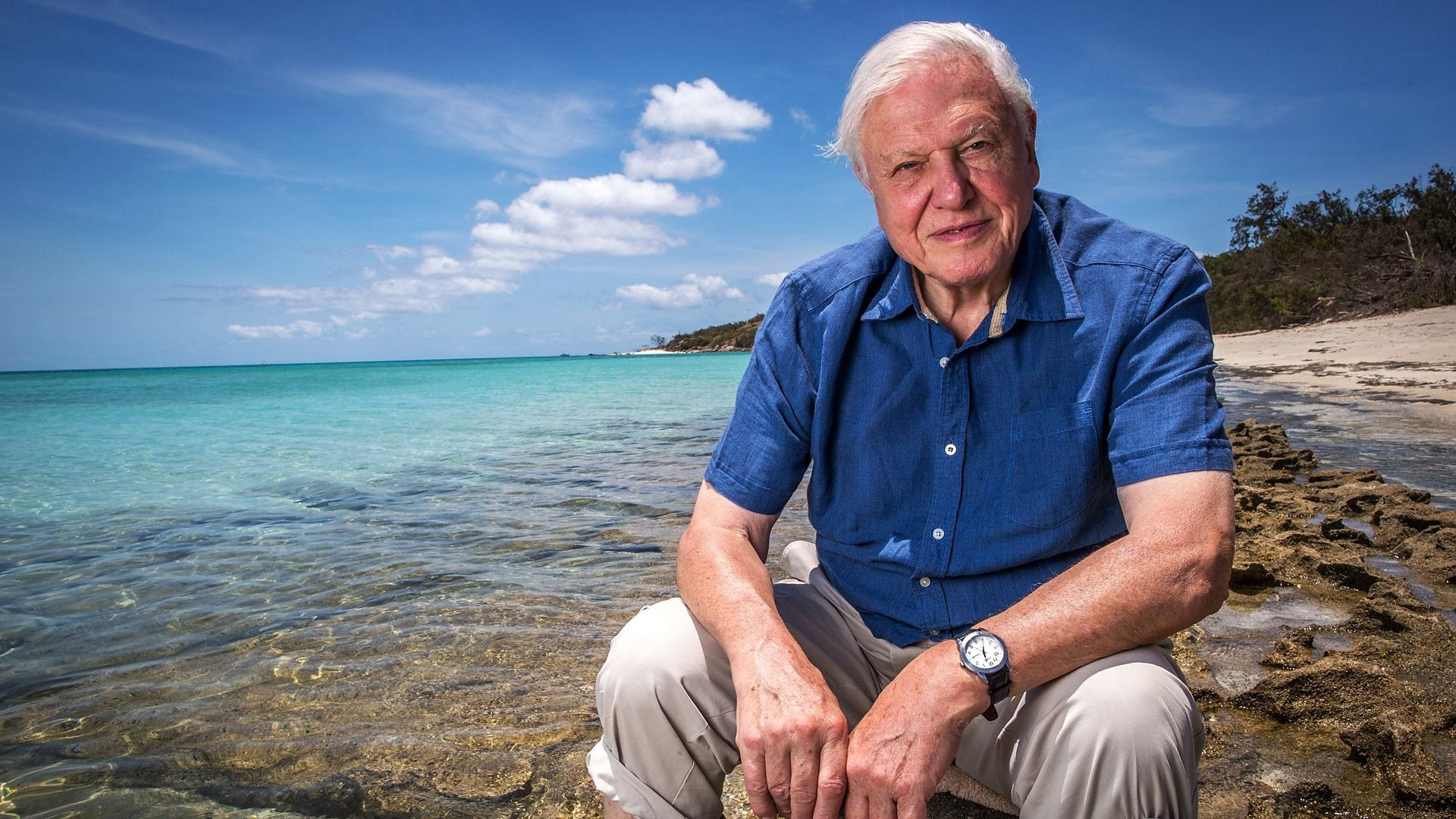 Xem Phim Khám Phá Rạn San Hô Great Barrier cùng David Attenborough, Great Barrier Reef with David Attenborough 2015