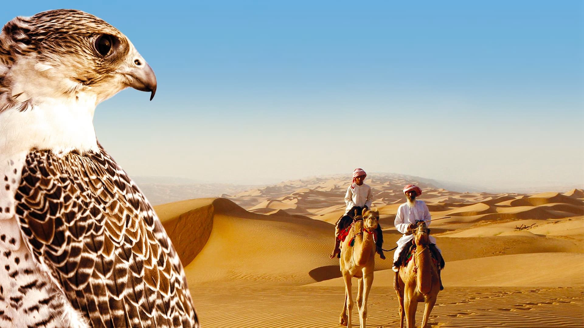 Xem Phim Thiên Nhiên Hoang Dã Ả Rập, Wild Arabia 2013