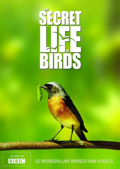 Bí ẩn cuộc sống loài chim, The Secret Life of Birds / The Secret Life of Birds (2012)
