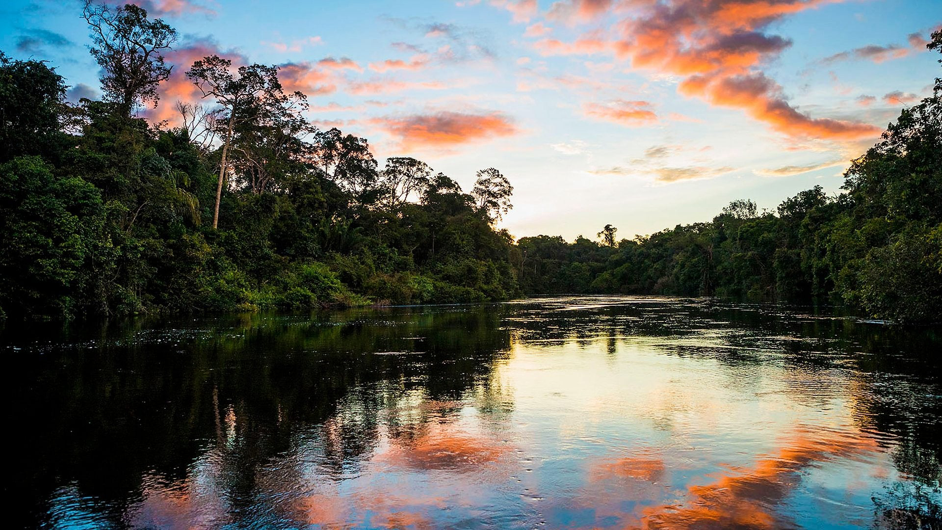 Xem Phim Những Dòng Sông Hùng Vĩ Trên Trái Đất, Earth's Great Rivers 2019 Xem Phim Những Dòng Sông Hùng Vĩ Trên Trái Đất, Earth's Great Rivers 2019
