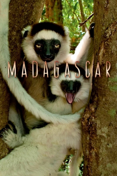 Madagascar / Madagascar (2011)