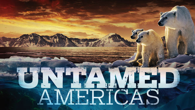 Untamed Americas / Untamed Americas (2012)
