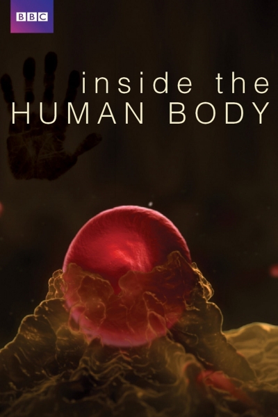 Inside the Human Body, Inside the Human Body / Inside the Human Body (2011)