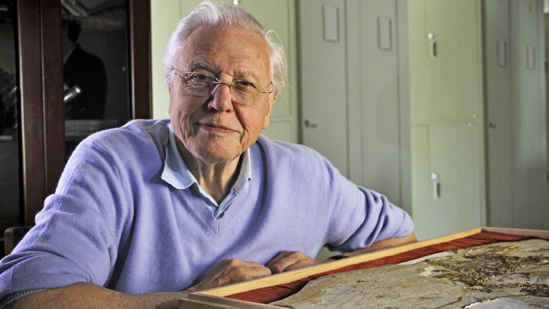 Xem Phim David Attenborough's Rise of Animals: Triumph of the Vertebrates, David Attenborough's Rise of Animals: Triumph of the Vertebrates 2013 Xem Phim David Attenborough's Rise of Animals: Triumph of the Vertebrates, David Attenborough's Rise of Animals: Triumph of the Vertebrates 2013