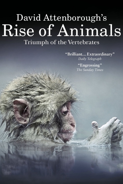 David Attenborough's Rise of Animals: Triumph of the Vertebrates, David Attenborough's Rise of Animals: Triumph of the Vertebrates / David Attenborough's Rise of Animals: Triumph of the Vertebrates (2013)