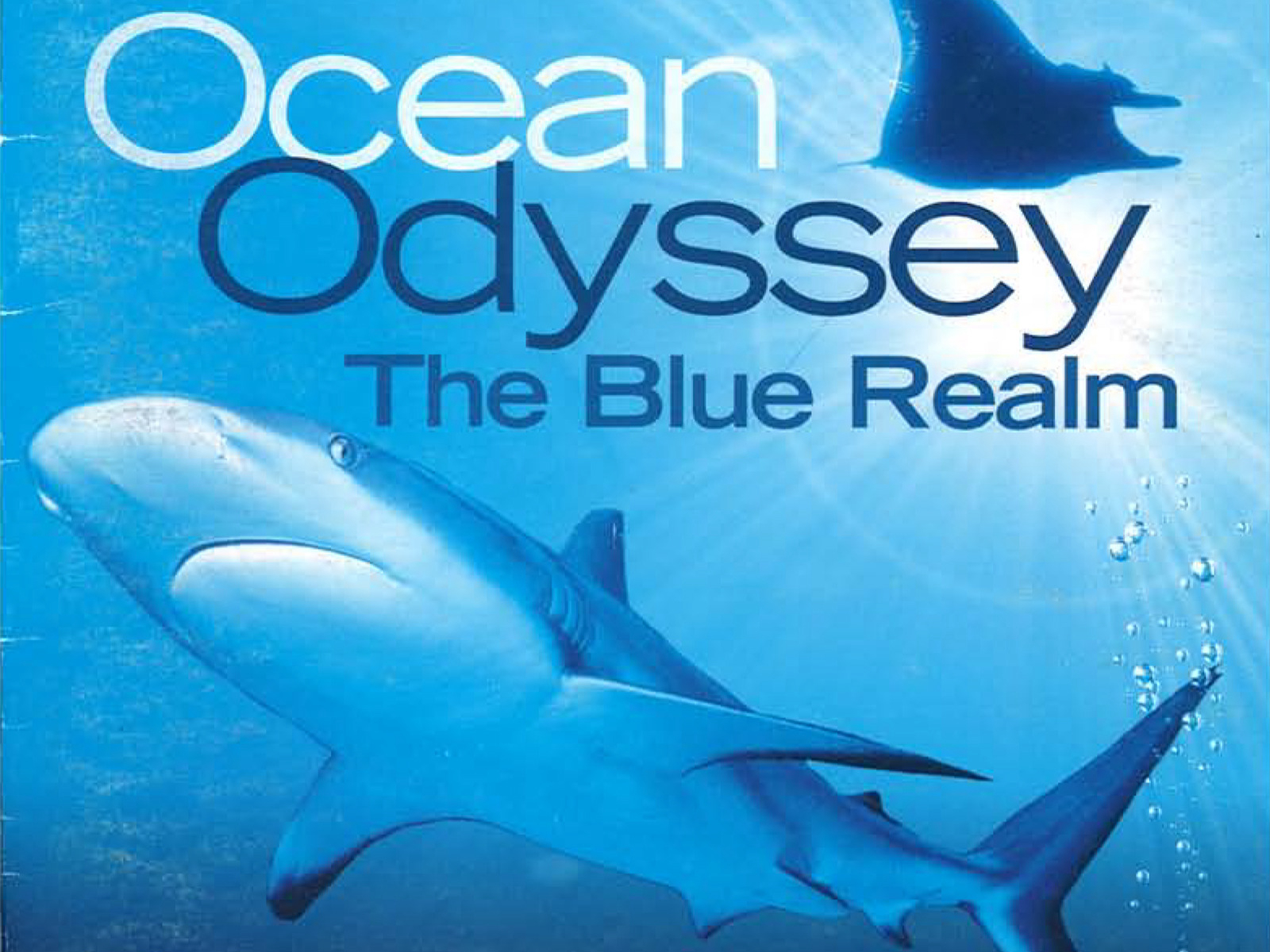Xem Phim Ocean Odyssey: The Blue Realm, Ocean Odyssey: The Blue Realm 2004