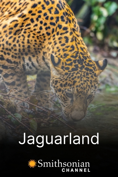 Jaguarland / Jaguarland (2020)