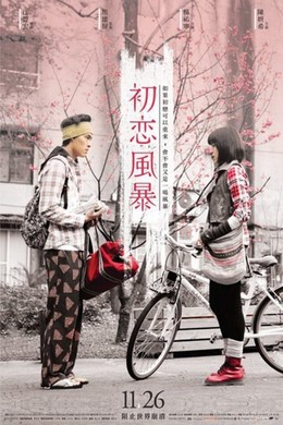 Sóng Gió Tình Đầu, Tempest of First Love (2010)