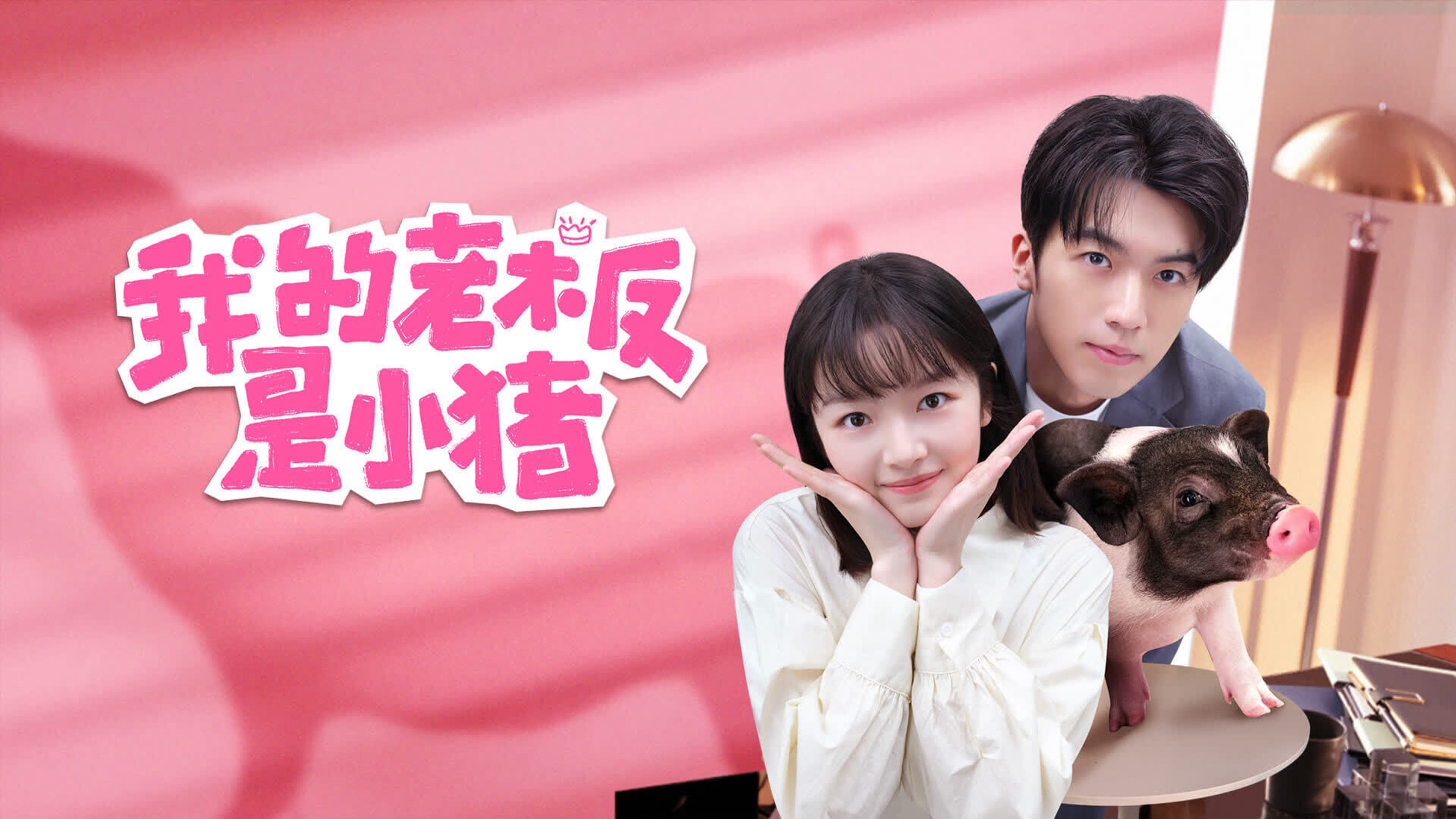 Xem Phim Sếp Của Tôi Là Chú Lợn Nhỏ, My Piggy Boss 2024 Xem Phim Sếp Của Tôi Là Chú Lợn Nhỏ, My Piggy Boss 2024