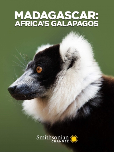 Madagascar: Africa's Galapagos, Madagascar: Africa's Galapagos / Madagascar: Africa's Galapagos (2019)