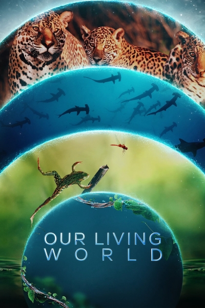 Thế giới sống của chúng ta, Our Living World / Our Living World (2024)