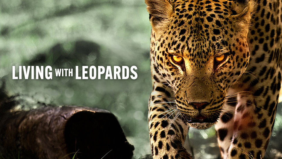 Living with Leopards / Living with Leopards (2024)