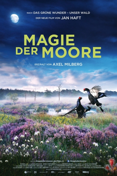 Magie der Moore, Magie der Moore / Magie der Moore (2015)