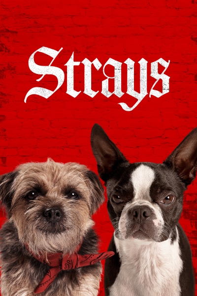Strays / Strays (2023)