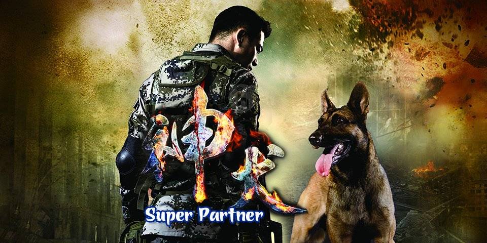 Xem Phim Quân Khuyển Kỳ Binh, Super Partner 2015 2015