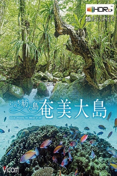 Amami Ashima Island / Amami Ashima Island (2020)