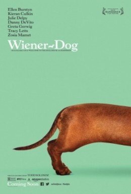 Giải Đua Chó Thế Giới, Wiener-Dog (2016)