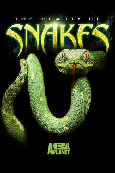 The Beauty of Snakes / The Beauty of Snakes (2003)