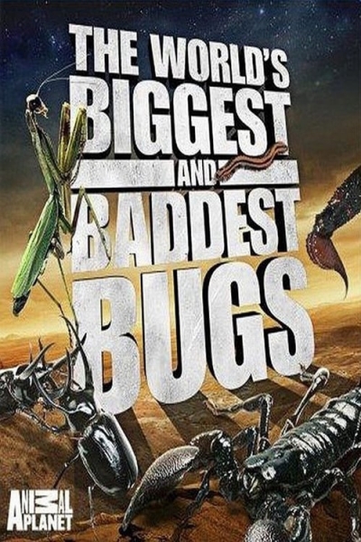 Thế Giới Côn Trùng Khổng Lồ và Nguy Hiểm, The World's Biggest and Baddest Bugs / The World's Biggest and Baddest Bugs (2009)