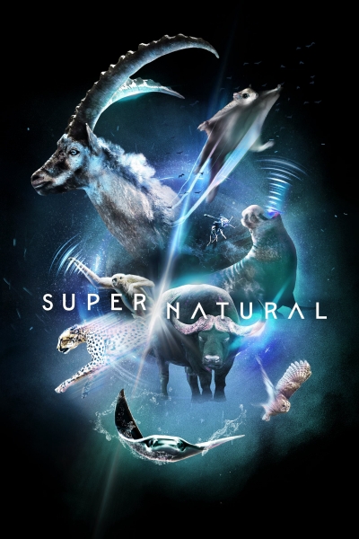 Super/Natural / Super/Natural (2022)