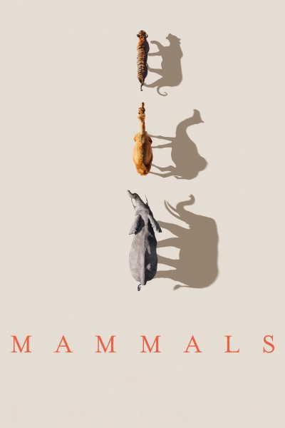 Mammals (2024), Mammals / Mammals (2024)